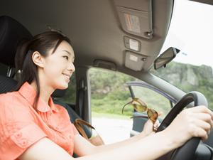 多くの無料サービスを実施する車検業者