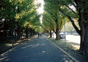 みよし車検探しの際に見落としがちなこと