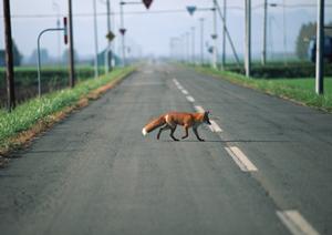 車検を受けるときのポイントについて