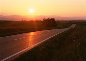 年会費無料のエネオスガソリンカード