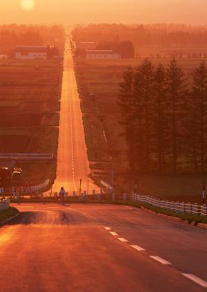 「中古トラックとクレーン車の選び方完全ガイド：コストパフォーマンスを徹底解説」