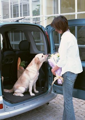 FJクルーザーのカスタム専門店