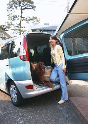 車検というものは実はコツがあるのです