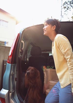 豊田車検の見積もりのタイミング
