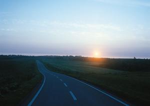 中古のFJクルーザーの購入したい方